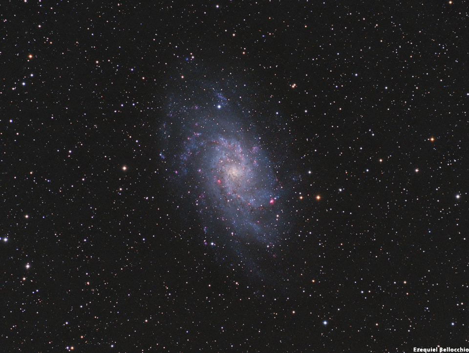 M 33 - Pinwheel Galaxy