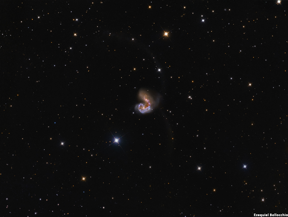 NGC 4038 y NGC 4039