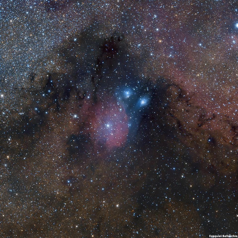 NGC 6595