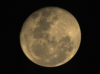 Luna RGB
